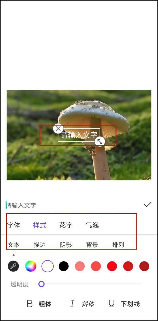 手机照片上怎么编辑文字？这里有具体的解决方案-第4张图片-太平洋在线下载