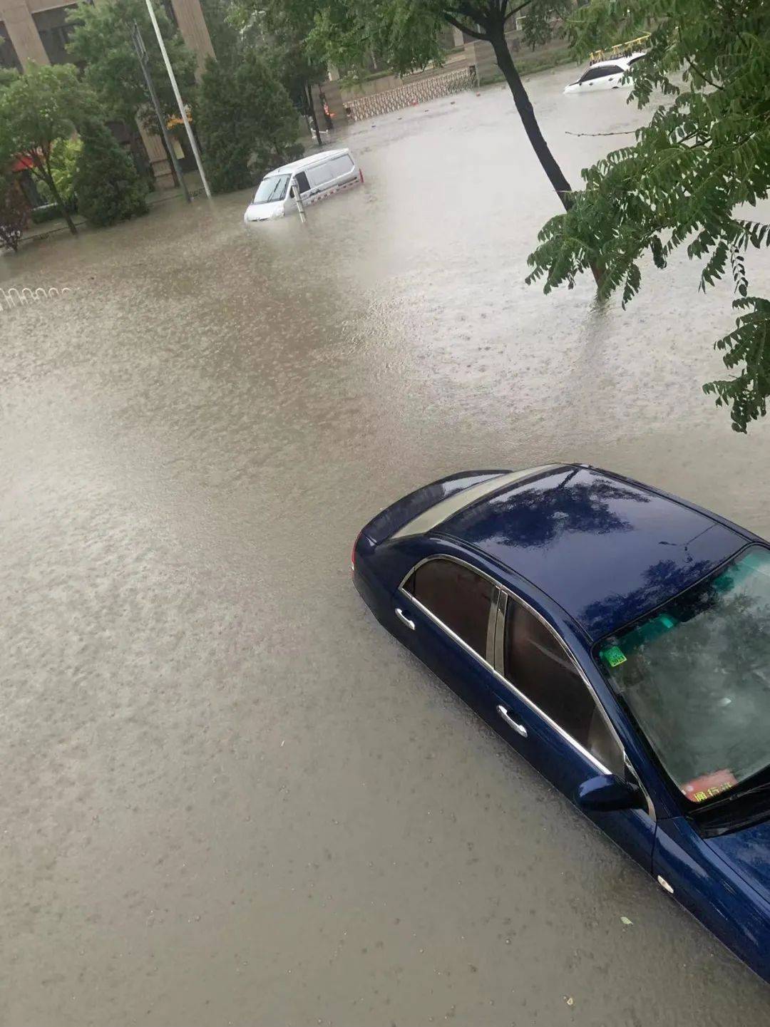 山西运城暴雨苹果受灾新闻报道山西洪涝灾害已致175万余人受灾