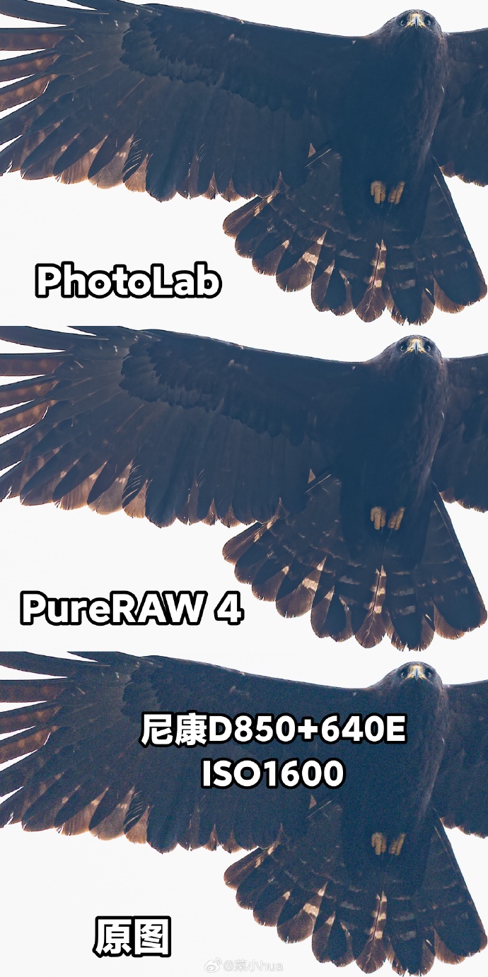 photolab安卓版的软件photoshopps免费版下载