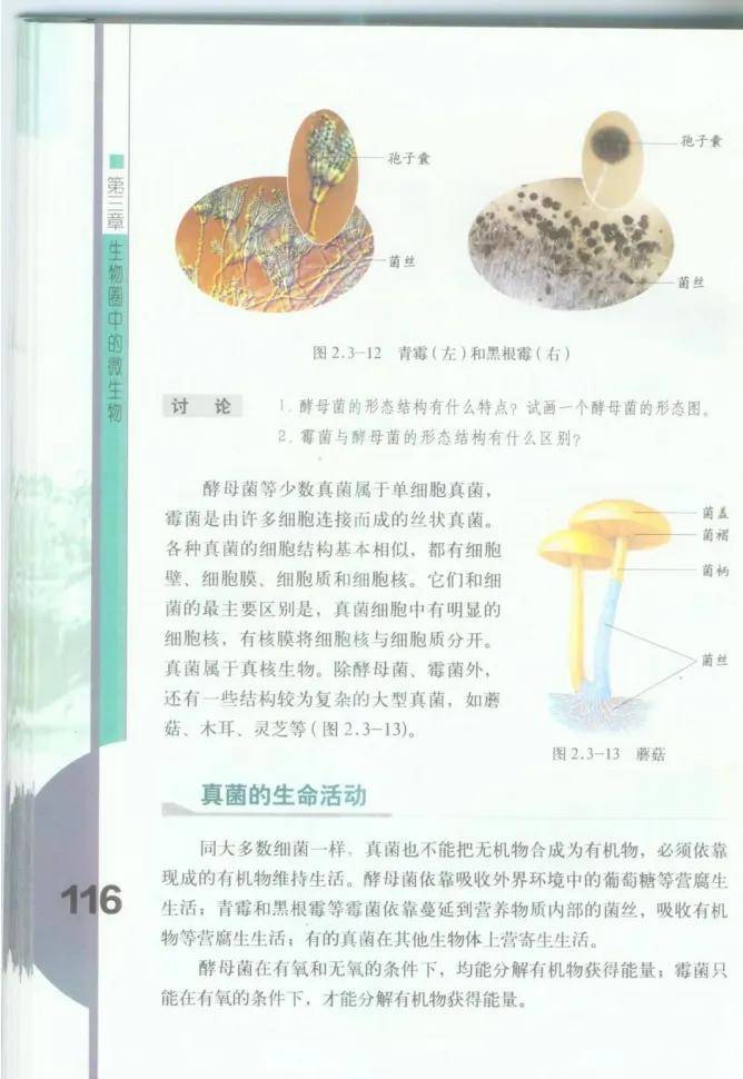 小苹果生物版初中大中国地理版小苹果