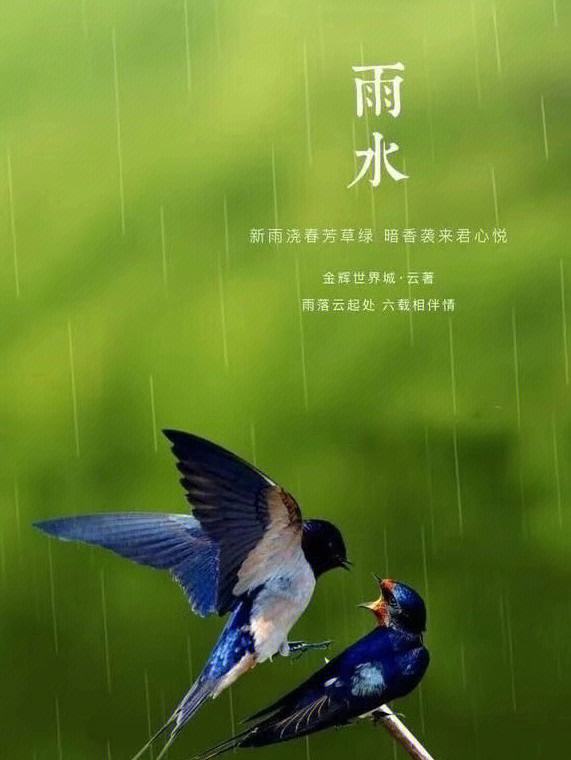 雨世界苹果手机版雨世界免费下载电脑版-第2张图片-太平洋在线下载